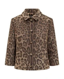 Dolce & Gabbana Animal Jacket