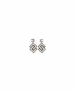 Elisabetta Franchi Drop Earrings With Logo