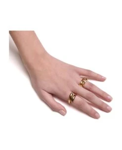 Ring Chain Gold -Italist Store e21711e27a4553ed29d4f30dc8282aab