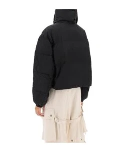 Telia Cropped Puffer Jacket 6 Telia Cropped Puffer Jacket -Italist Store f703a1f6452912b9ecbc96b13be15913