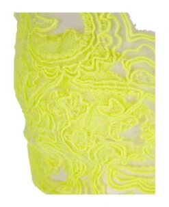 ERMANNO SCERVINO Lime Embroidered Brassiere -Italist Store fa510a43f2f5eb538b6de03f5418e032