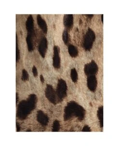 Dolce & Gabbana Animalier Thights -Italist Store fefeb9ebe19d1406a64fd3c80a16a696