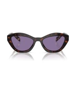 Pr A02s Havana Sunglasses