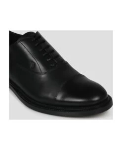 Tod's Leather Lace-ups -Italist Store 40d5bfdca5d64c971f001d0dd804663b